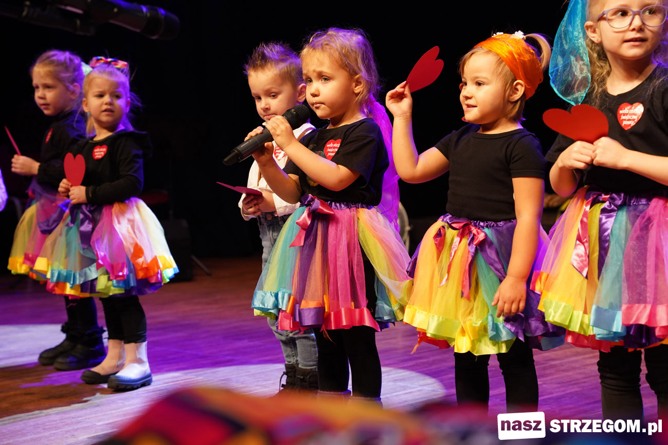 34. Finał WOŚP w Strzegomiu: pokazy, koncerty i morsowanie [FOTO] 